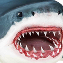 终极鲨鱼攻击3D加速器