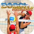 BeachVolleyballSimulator