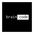 大脑代码