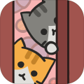 HiddenKitty