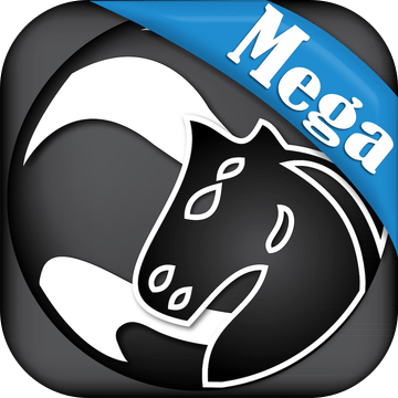 Mega加速器