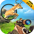 SafariHunt2018