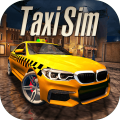 TaxiSim2020