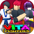 VitaFighters