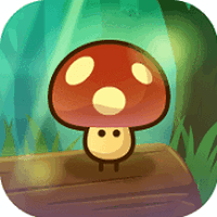 蘑菇蘑菇加速器