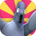 PigeonPanicAR