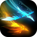 Entwined™Challenge