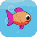 InseAquariumCrazyAqurium
