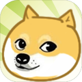 CrashDoge