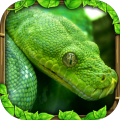 SnakeSimulator
