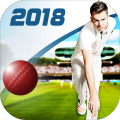 CricketCaptain2018