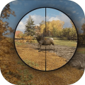 ForestAnimalShootingSim