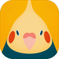 BirdWallpapertorinoiro