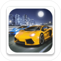 SportCarDriverStyle