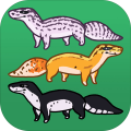 GeckoGarden