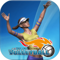 VTreeEntertainmentVolleyball