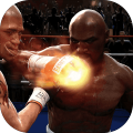 RealBoxingMasterChallenge