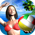 OverTheNetBeachVolleyball