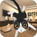 逃离猫咪音乐室加速器