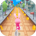 BunnyRun加速器
