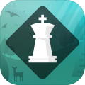 MagnusTrainer