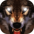 LifeOfWolf2014