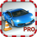 RealCarParkingSimulatorPRO