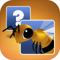 MATCHLetMeLearnWORDS