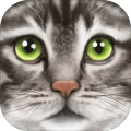 UltimateCatSimulator