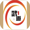 武道MUD加速器