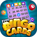 BingoCards加速器