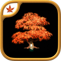 FireMapleGamesCollection