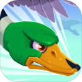 Duckz加速器