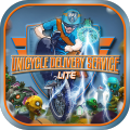 UnicycleDeliveryServiceLite