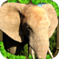大象模拟3D