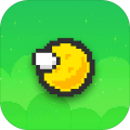 FlyGolf