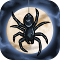 SpiderRiteoftheShroudedMoon