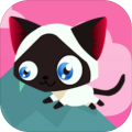 CatRunJump