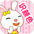 兔宝宝认颜色