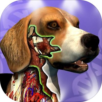 IdleAnimals加速器
