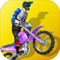 BikeStunts3D加速器