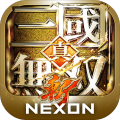 真・三国无双斩