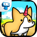 CorgiEvolution