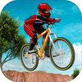 MTBDownhillBikeSimulator