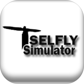 SELFLYsimulator加速器