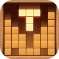 WoodPuzzleBlock