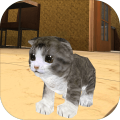 KittenCatSimulator3D
