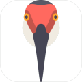 9crane