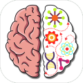 BrainCrazyIQChallengePuzzle