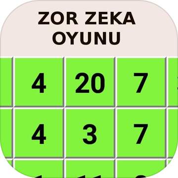 ZekaOyunu加速器